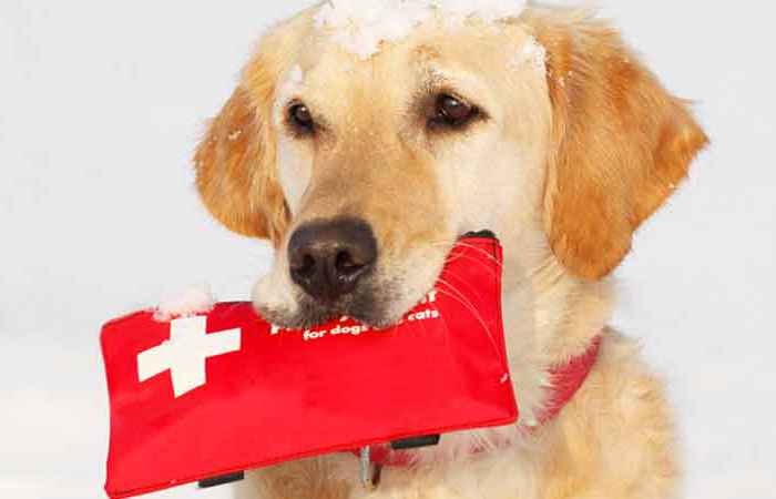 Emergency