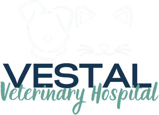 Vestal Veterinary Hospital