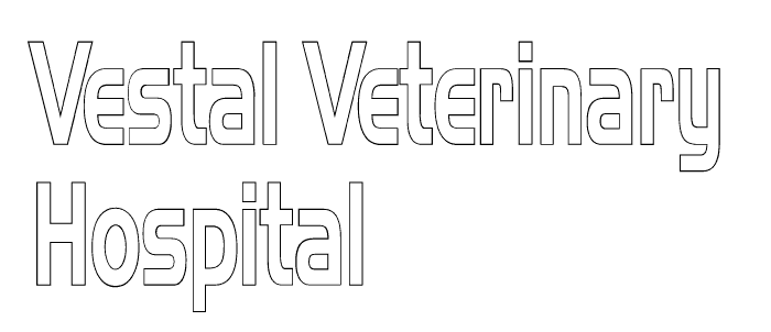 Vestal Veterinary Hospital